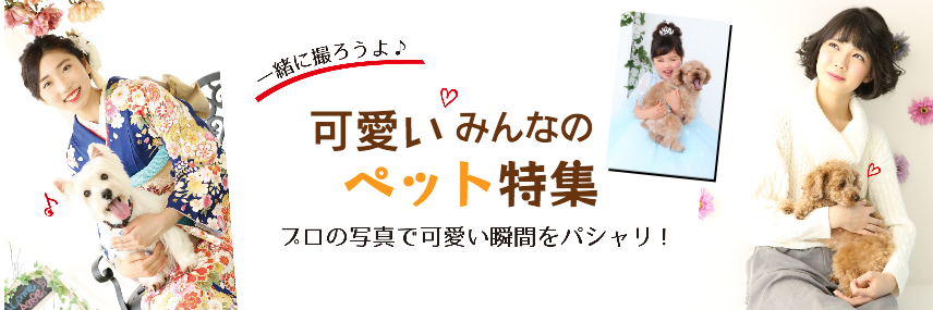 2019前撮り
